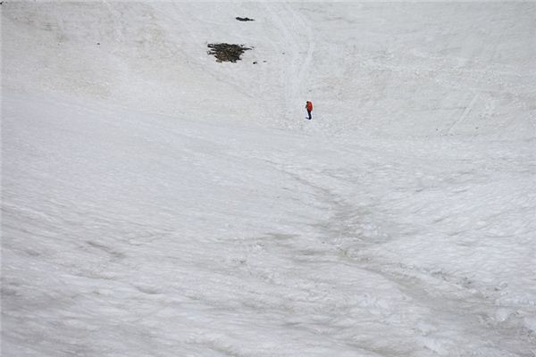 梦见雪地是什么意思