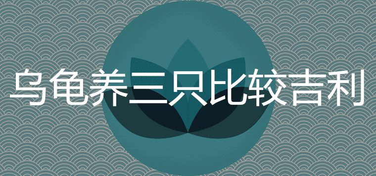 乌龟养三只比较吉利是什么风水说法