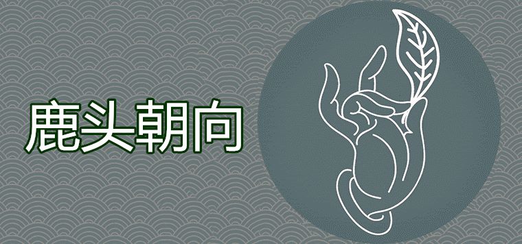 鹿头朝向寓意有什么风水讲究